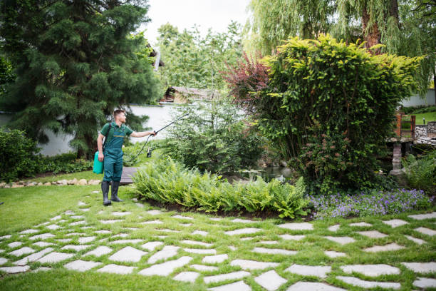 Best Best Pest Control Companies  in Greenlawn, NY
