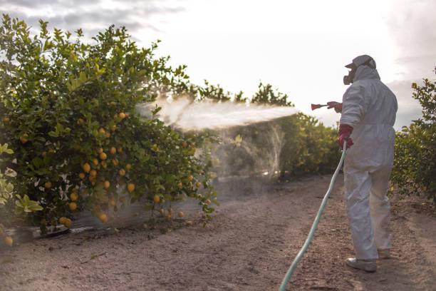 Best Insect Control  in Greenlawn, NY