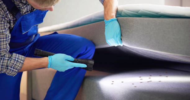 Pest Control for Restaurants in Greenlawn, NY
